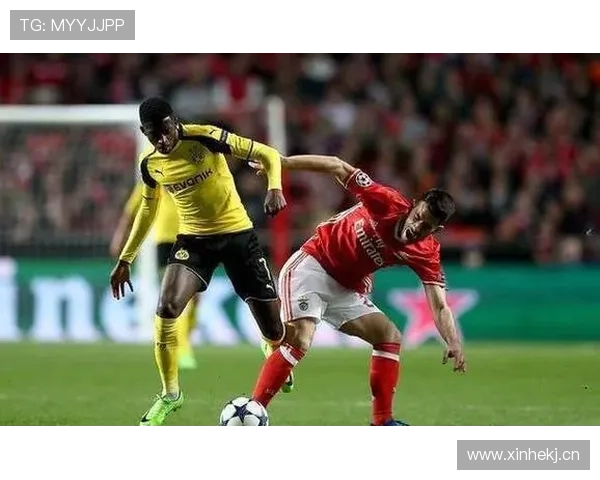 本菲卡攻防平衡